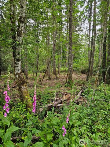 870 E Wilson Way, Grapeview, WA 98546