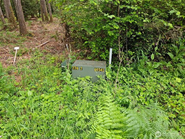 870 E Wilson Way, Grapeview, WA 98546