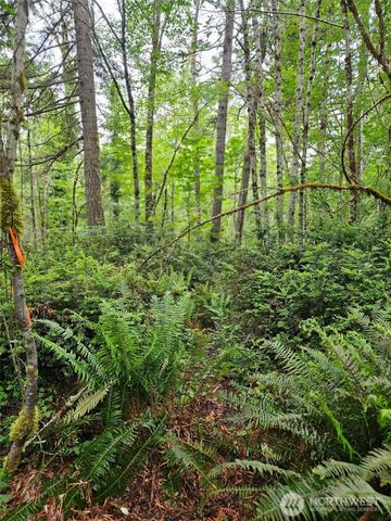 870 E Wilson Way, Grapeview, WA 98546