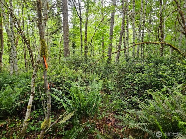 870 E Wilson Way, Grapeview, WA 98546