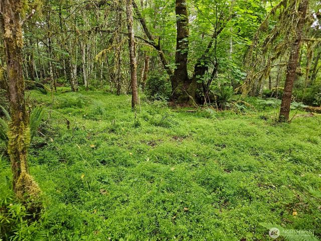 870 E Wilson Way, Grapeview, WA 98546
