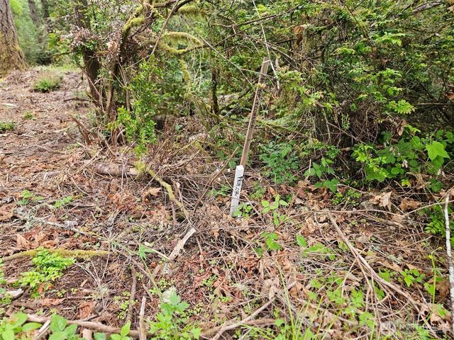 870 E Wilson Way, Grapeview, WA 98546