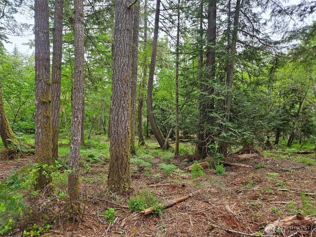 870 E Wilson Way, Grapeview, WA 98546