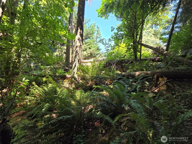 100 210th Avenue NE, Sammamish, WA 98074