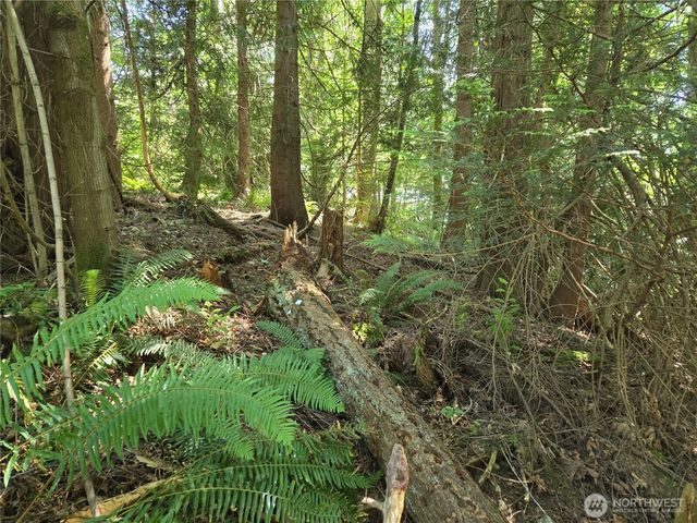 100 210th Avenue NE, Sammamish, WA 98074