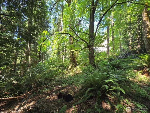 100 210th Avenue NE, Sammamish, WA 98074