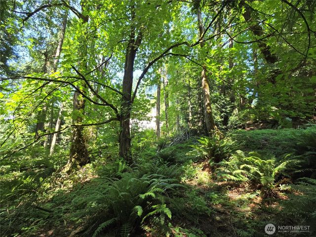 100 210th Avenue NE, Sammamish, WA 98074
