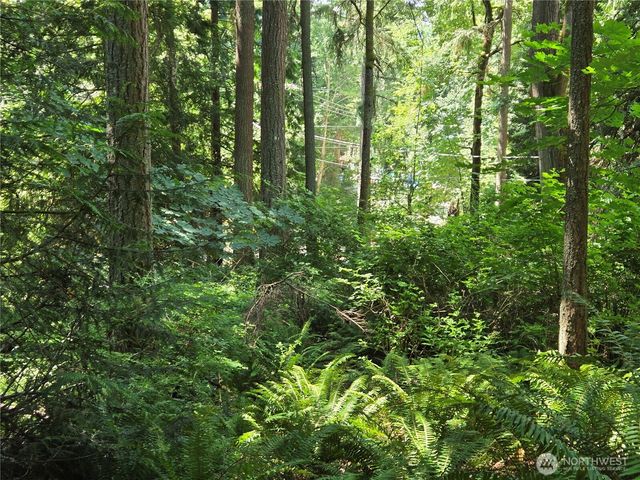 100 210th Avenue NE, Sammamish, WA 98074