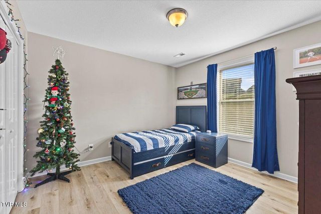 2919 Royal Mile Divide, Kingsport, TN 37664