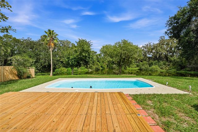 4637 CABBAGE PALM DRIVE, Valrico, FL 33596