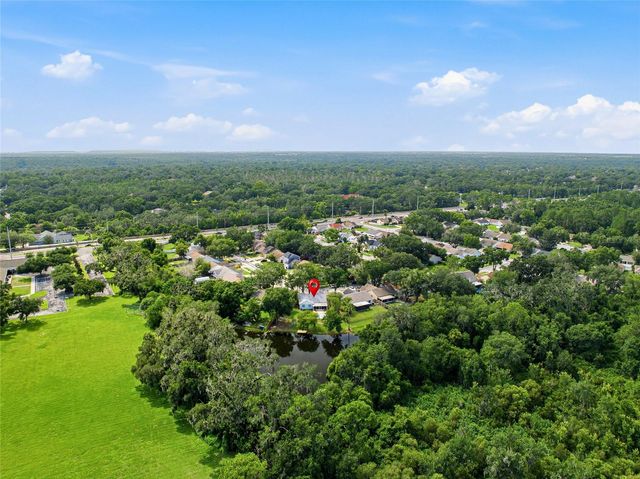 4637 CABBAGE PALM DRIVE, Valrico, FL 33596