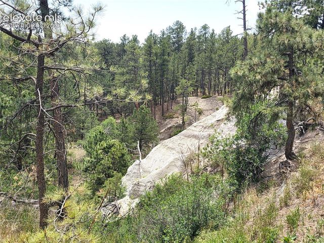 4465 Leprechaun Lane, Colorado Springs, CO 80908