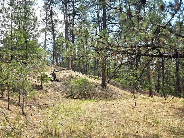 4465 Leprechaun Lane, Colorado Springs, CO 80908