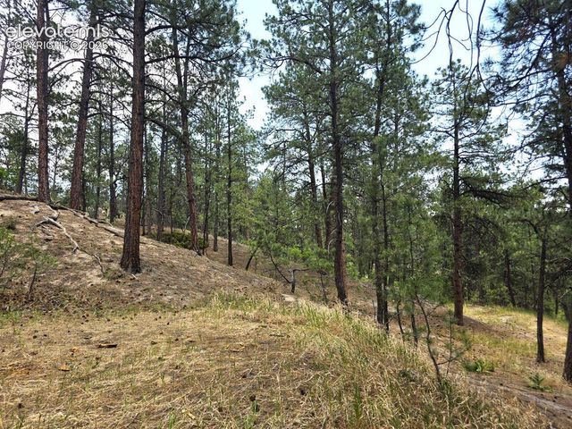 4465 Leprechaun Lane, Colorado Springs, CO 80908