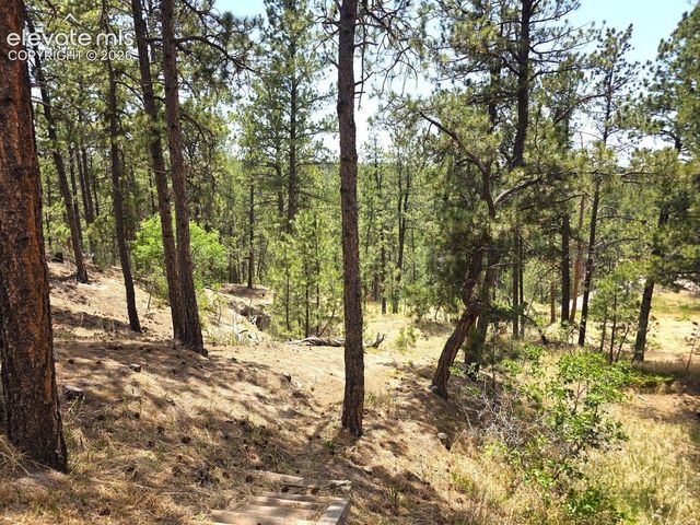 4465 Leprechaun Lane, Colorado Springs, CO 80908