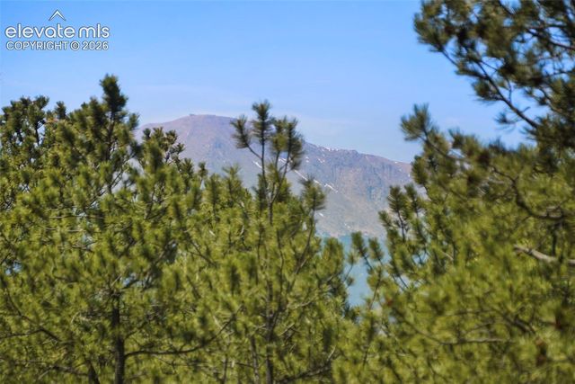 4465 Leprechaun Lane, Colorado Springs, CO 80908