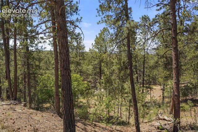 4465 Leprechaun Lane, Colorado Springs, CO 80908