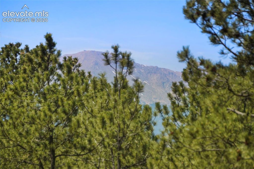 4465 Leprechaun Lane, Colorado Springs, CO 80908 — photo 5
