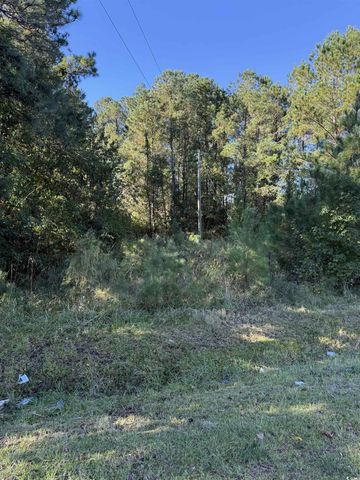 Highway 57, Little River, SC 29566