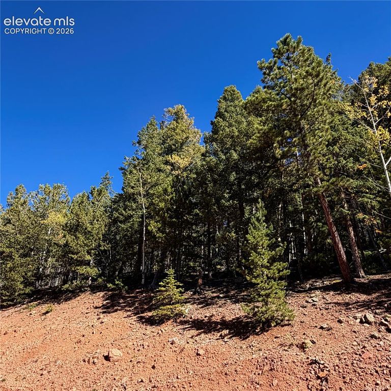 624 Witherite Drive, Divide, CO 80814 — photo 2