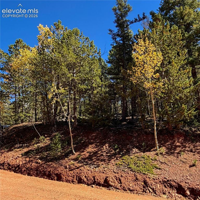 624 Witherite Drive, Divide, CO 80814 — photo 3