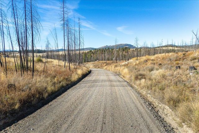 Xxx E Frideger Rd, Elk, WA 99009