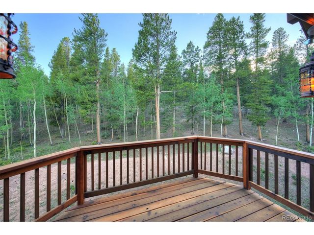 24 Little Baldy Cir, Fairplay, CO 80440