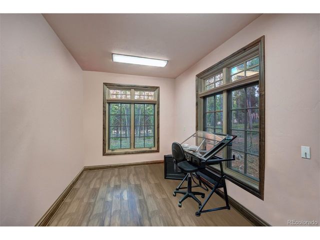24 Little Baldy Cir, Fairplay, CO 80440
