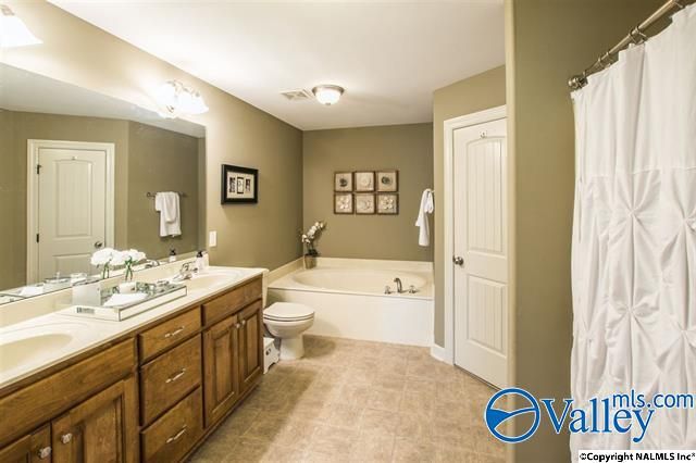 154 Autumn Branch Drive, Madison, AL 35757