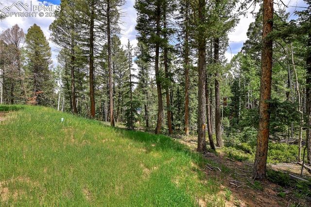 29 Dusti Circle, Florissant, CO 80816