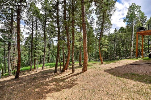 29 Dusti Circle, Florissant, CO 80816