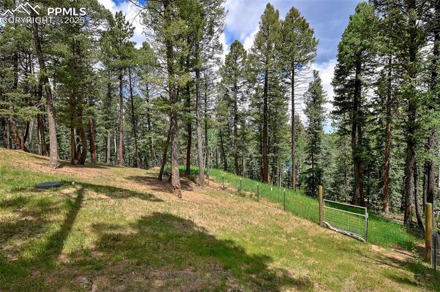 29 Dusti Circle, Florissant, CO 80816