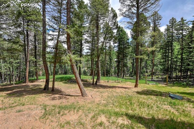 29 Dusti Circle, Florissant, CO 80816