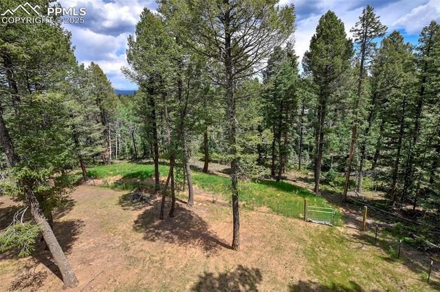 29 Dusti Circle, Florissant, CO 80816