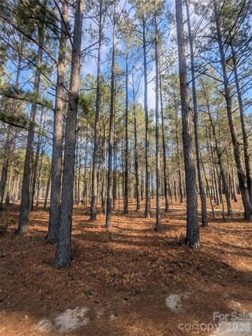 482 Pine Road, Jefferson, SC 29718