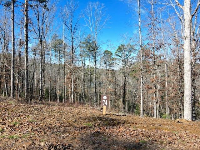 Lot 74 Hope Court, Ellijay, GA 30540