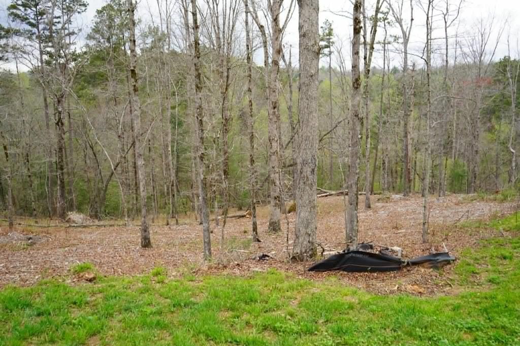 Lot 74 Hope Court, Ellijay, GA 30540