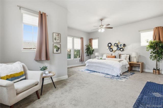 7933 Piney River Avenue, Littleton, CO 80125