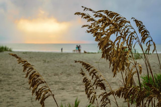 5720 Springs Ave., Myrtle Beach, SC 29577