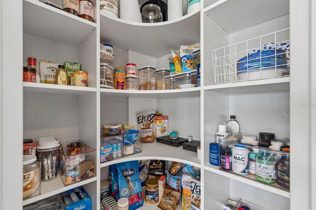 3462 FORSYTHIA DRIVE, Odessa, FL 33556