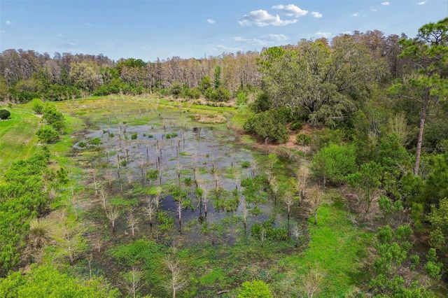 3462 FORSYTHIA DRIVE, Odessa, FL 33556