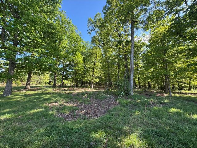 LOT 3 S Pleasant Valley Road, Decatur, AR 72722