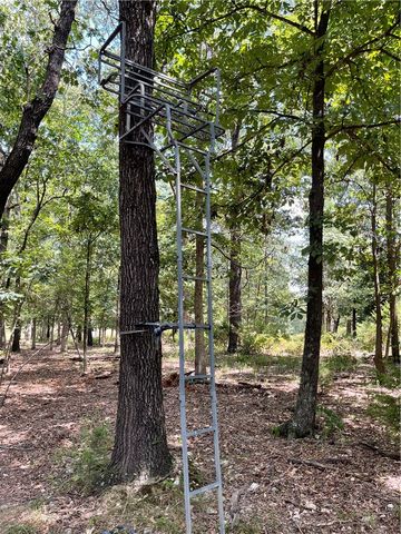 LOT 3 S Pleasant Valley Road, Decatur, AR 72722