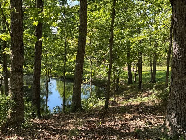 LOT 3 S Pleasant Valley Road, Decatur, AR 72722