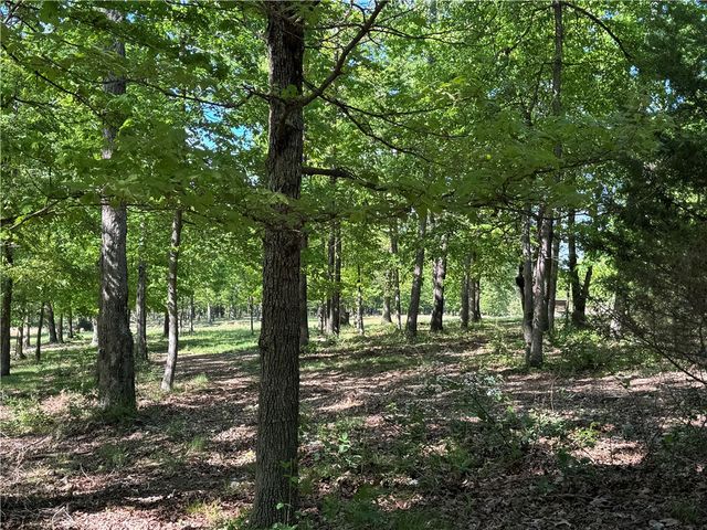 LOT 3 S Pleasant Valley Road, Decatur, AR 72722