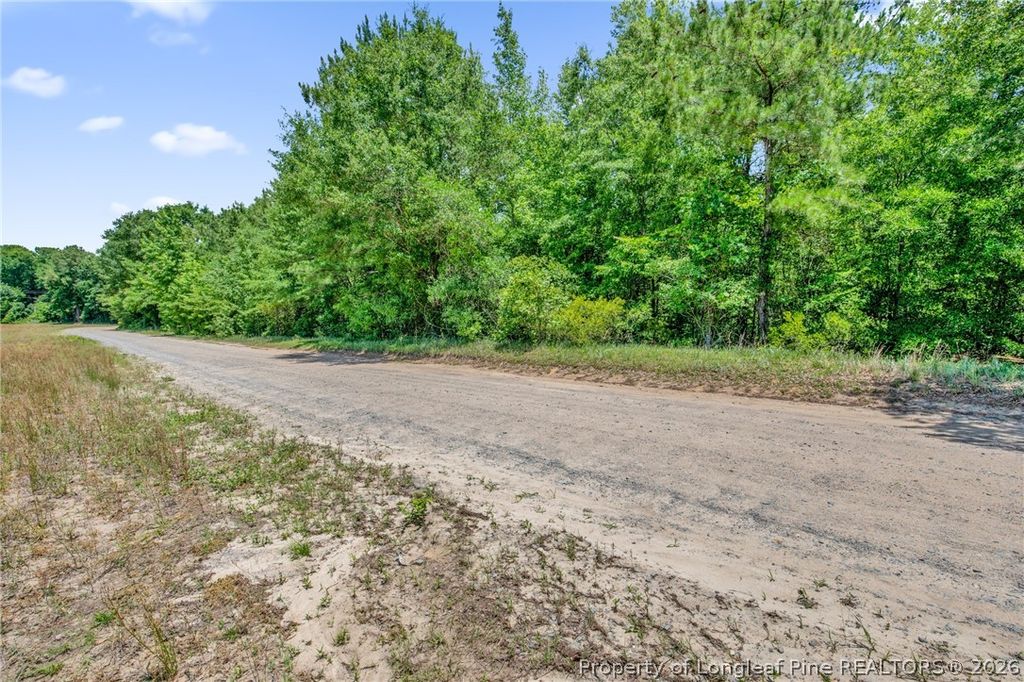 00 Riverstead (Lot 2) Road E, Fayetteville, NC 28312 — photo 20