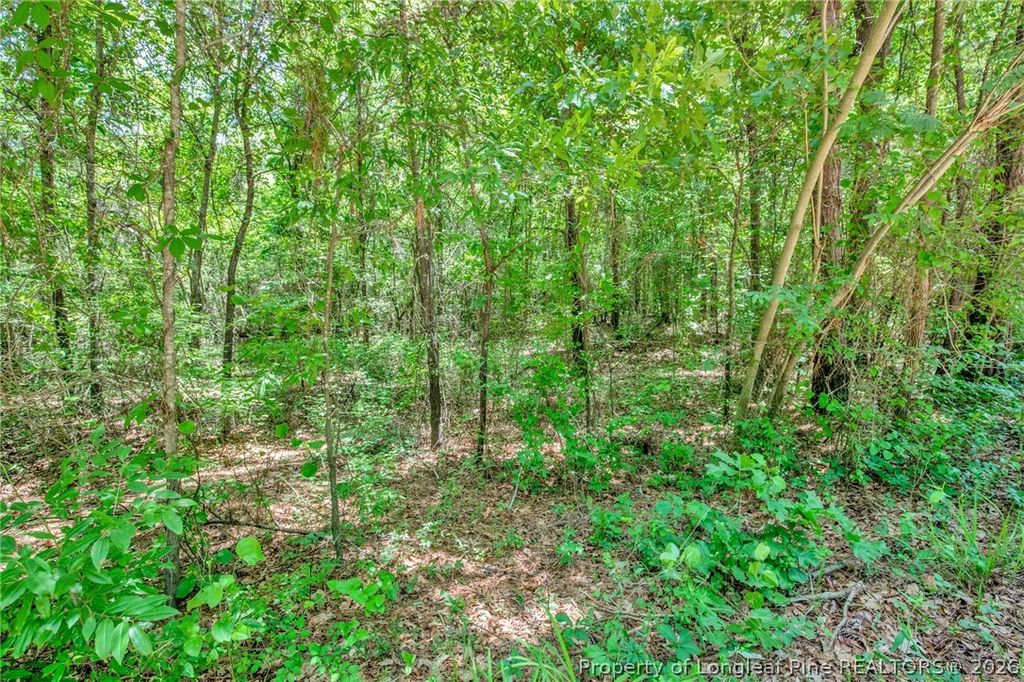 00 Riverstead (Lot 2) Road E, Fayetteville, NC 28312 — photo 23