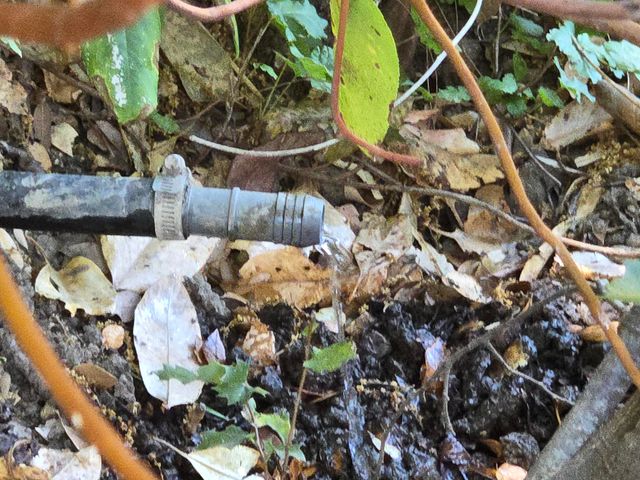 4800 Hansen Ranch Road, Piercy, CA 95587