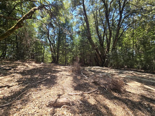 4800 Hansen Ranch Road, Piercy, CA 95587