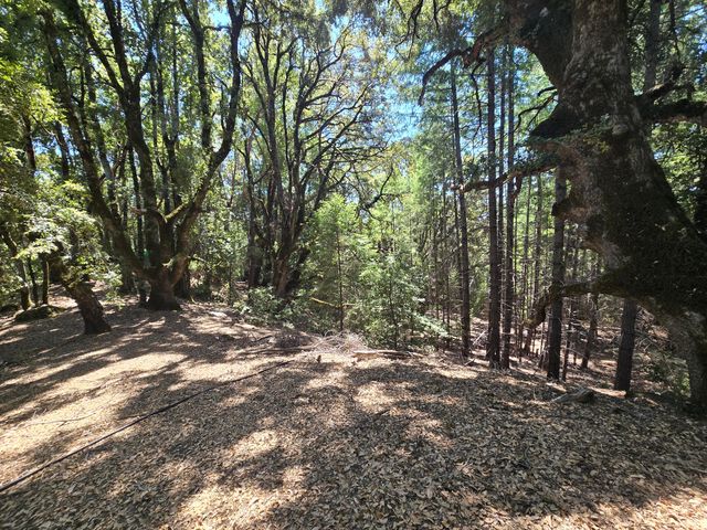 4800 Hansen Ranch Road, Piercy, CA 95587